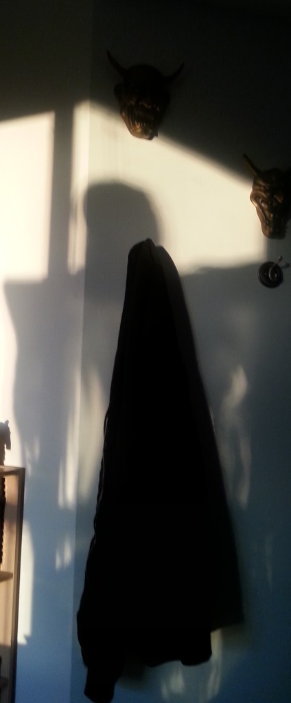 Shadowy monster or Halloween decor shadow? You decide!